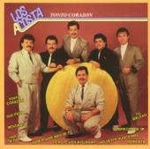 Tonto Corazón song art