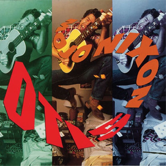 Cover artwork for Shane's Dentist