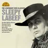 Sleepy LaBeef - Blackland Farmer