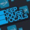 Runnin' Back (Conan Liquid Sunspell Vocal Mix) - Conan Liquid & Willy Washington lyrics