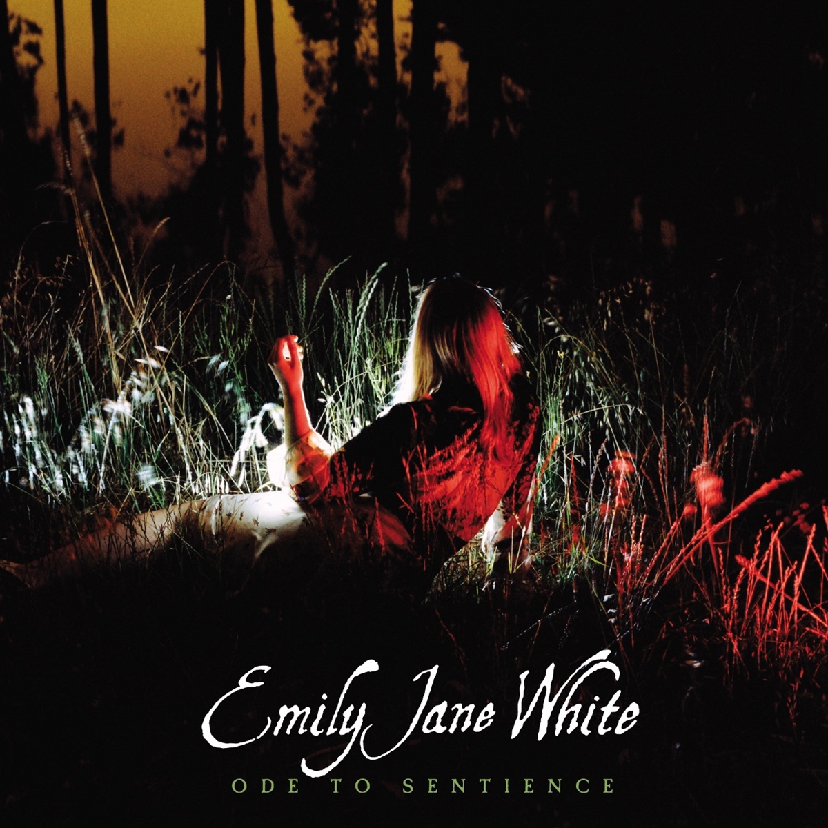 Cover du titre Broken Words