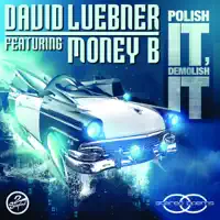 Polish It, Demolish It — David Luebner Feat. Money B.