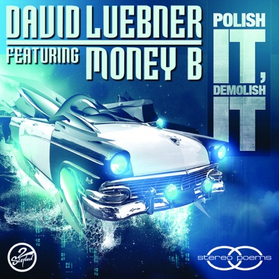 Polish It, Demolish It (feat. Money B.) - EP