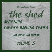 Karaoke Backing Tracks, Vol. 5 - Paul Green