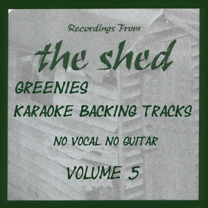 Karaoke Backing Tracks, Vol. 5