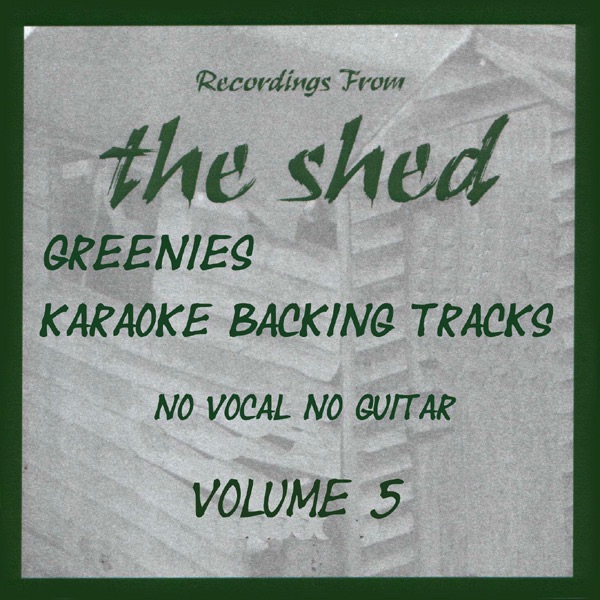 Karaoke Backing Tracks, Vol. 5