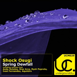 Spring Dewfall (Andy Notalez Remix)