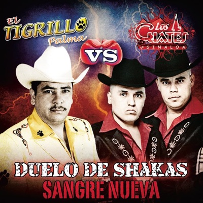 Duelo de Shakas Sangre Nueva - Los Cuates de Sinaloa
