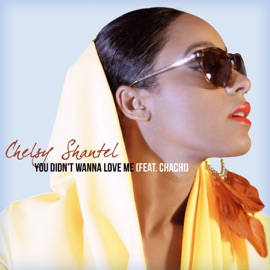 You Didn't Wanna Love Me Chelsy Shantel