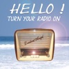 Hello Turn Your Radio On (Pure Mix)