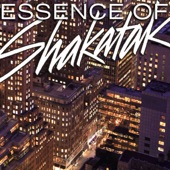 Essence of Shakatak artwork