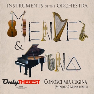 Conosci mia cugina - Single