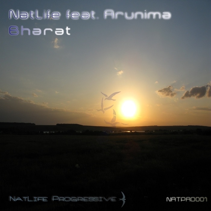 Обложка альбома «Bharat - Single» — Natlife