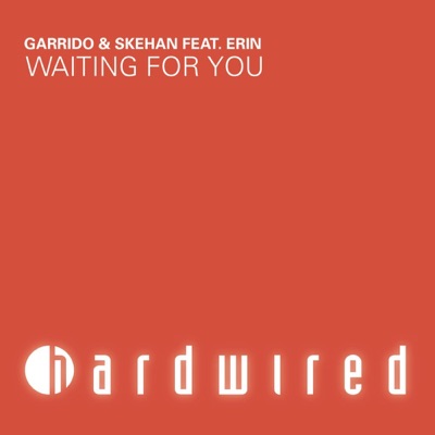 Waiting for You (feat. Erin) - Single