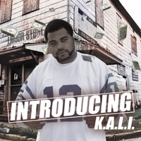 Introducing K.A.L.I. - Kali