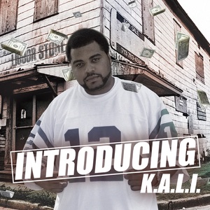 Introducing K.A.L.I.