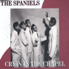 The Spaniels - Goodnight Sweetheart artwork