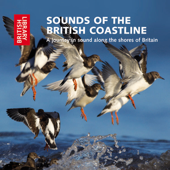 Sounds of the British Coastline: A Journey in Sound Along the Shores of Britain (Unabridged)