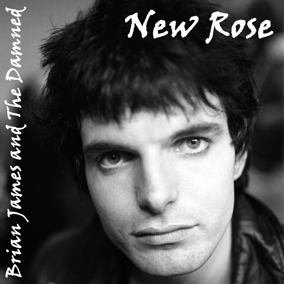 New Rose cover