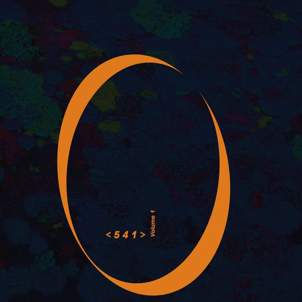 Обложка альбома «Music from Stanford: 541, Vol. 1» — Christopher Froh, California EAR Unit, Seungyon-Lee Lee, Armelle Orieux, Berlin New Music Chamber Ensemble, Robert HP Platz, Charles Nichols, Christopher Wendell Jones, Atau Tanaka, J. Karla Lemon, Stanford Chamber Strings, Ann Yi, Sirius Ensemble, Damián Keller, Ellen Ruth Rose, Mark Veregge, Paul Binkley, Barry Shiffman, Julian Hersch, Kirsten LeStrange & Roderick Chadwick