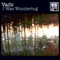 I Was Wondering (Debasser Remix) - Vadz lyrics
