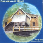 Peter Neri - Running in the House