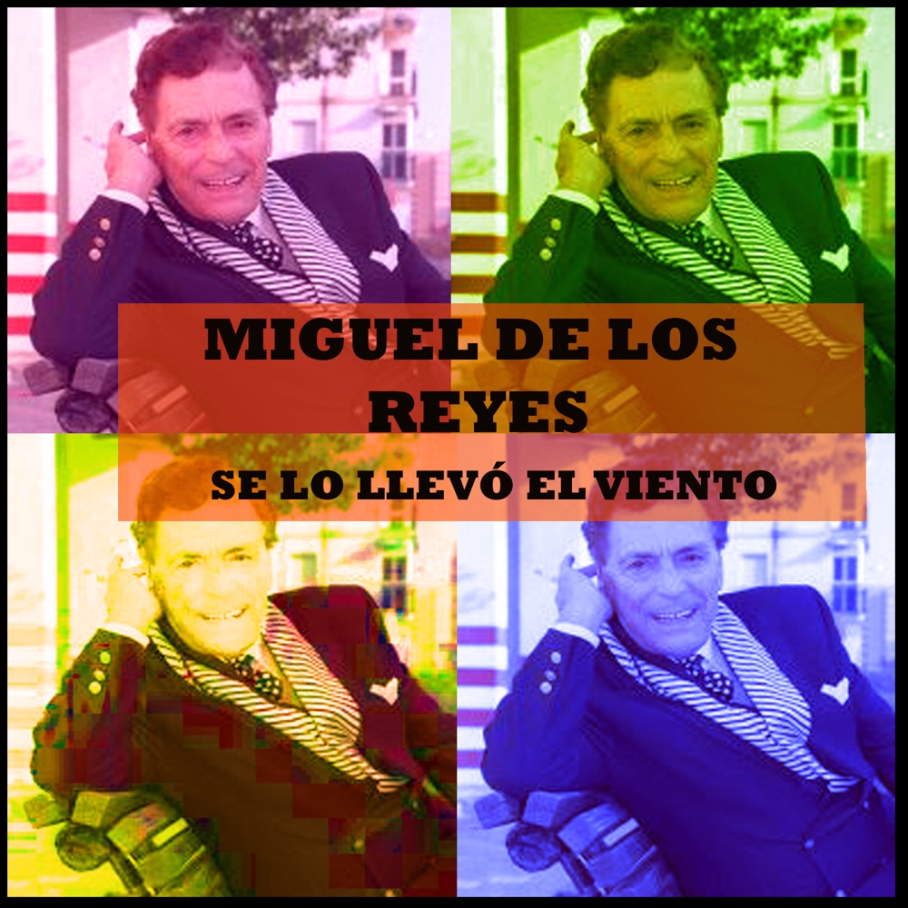Обложка альбома «Se lo Llevó el Viento» — Miguel de los Reyes