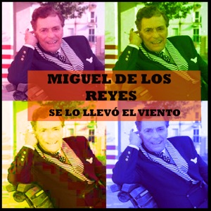 Se lo Llevó el Viento