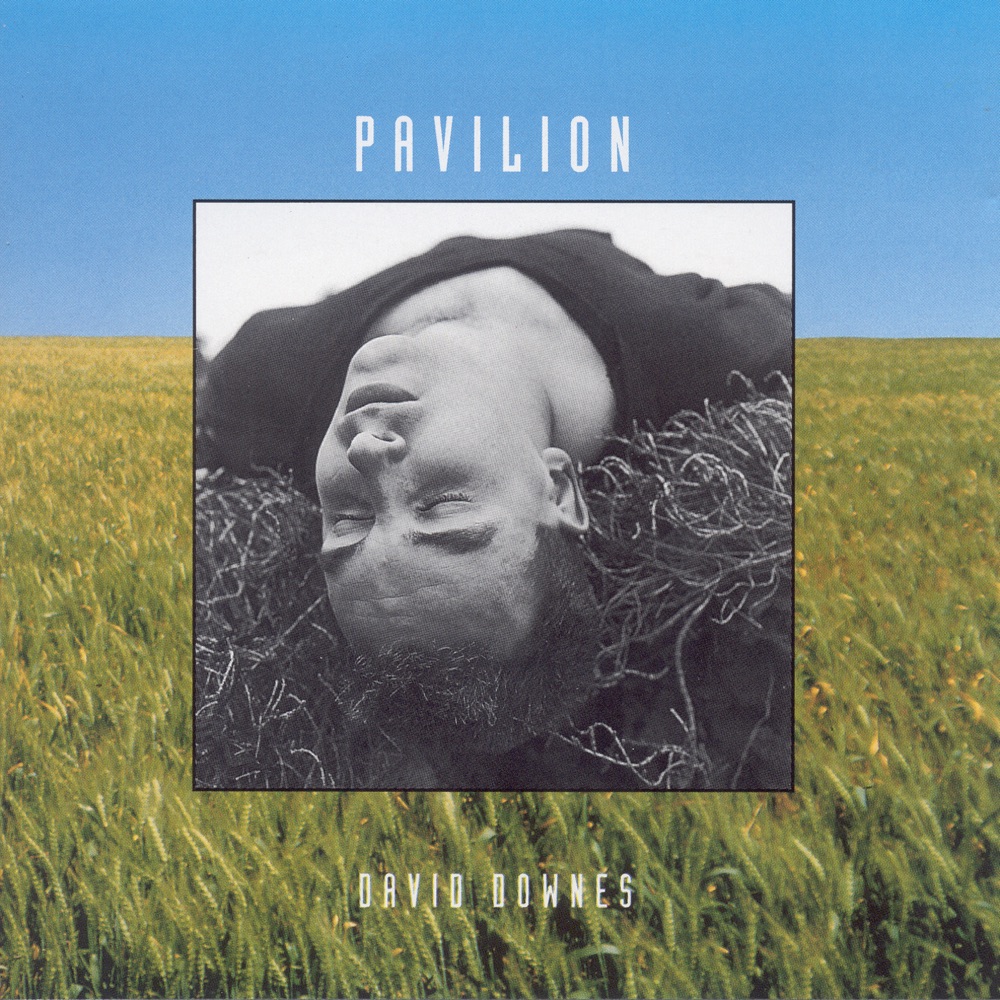 Обложка альбома «Pavilion» — David Downes
