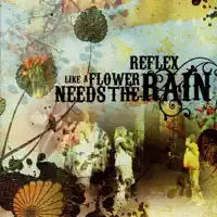 Reflex