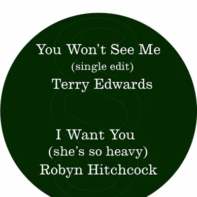 You Won't See Me (Single Edit) / I Want You (She's So Heavy) - Single - Robyn Hitchcock