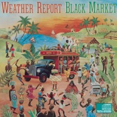 Weather Report - Elegant People