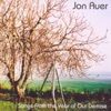Jon Auer - The Likes of You