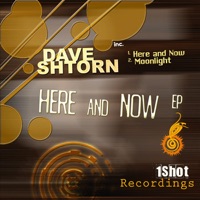 Here and Now EP - Dave Shtorn