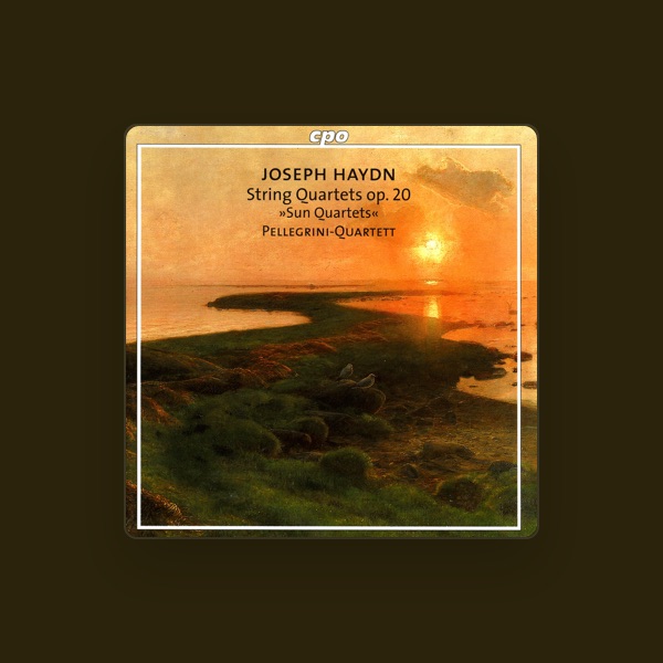 Pellegrini Quartet's avatar