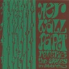 The Apples In Stereo - Strawberryfire