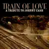 Laurie Lewis - Train of Love