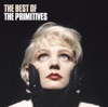 The Primitives