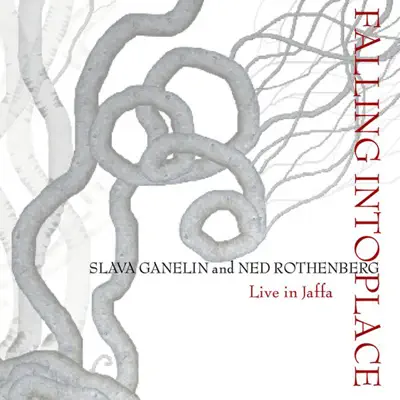 Hör dir „Falling Into Place“ von Slava Ganelin & Ned Rothenberg an