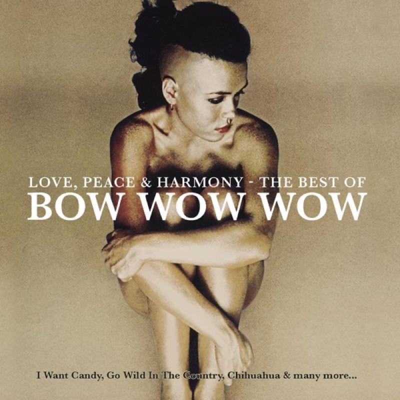 I Want Candy by Bow Wow Wow album cover