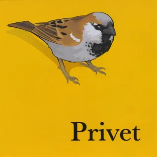 baixar álbum Download Privet - Privet album