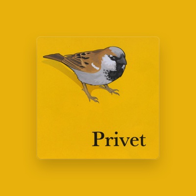 Listen to Privet, watch music videos, read bio, see tour dates & more!