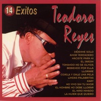 Teodoro Reyes - El Jardin