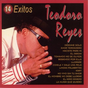 Teodoro Reyes: 14 Exitos