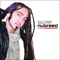 Crimson Sun (feat. Dirty Vegas & Ned Shepard) — Sultan
