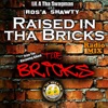 Raised in tha Bricks (Clean) - Single