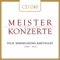 Konzert für Violine und Orchester e-Moll, op. 64 (1844): Andante artwork