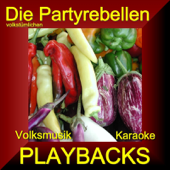 Volksmusik Karaoke Playbacks