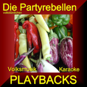 Volksmusik Karaoke Playbacks - Die Volkstümlichen Partyrebellen