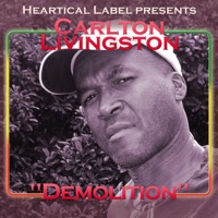Demolition - Single - Carlton Livingston